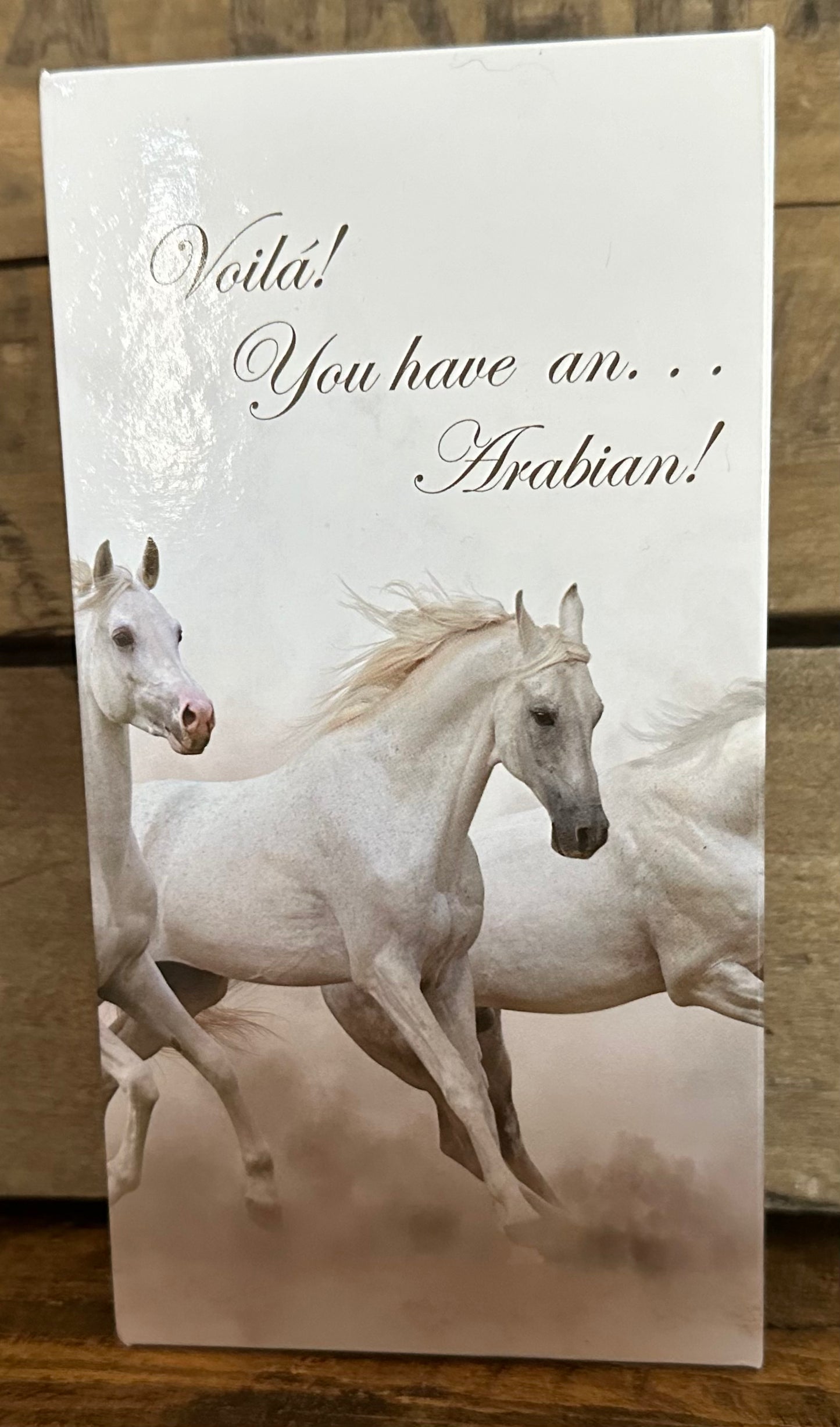 Equestrian: ARABIAN/Horseshoe with Flowers BOXED necklace