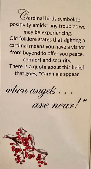 Cardinal BOXED with Hearts