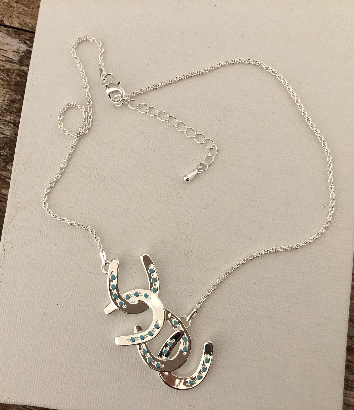 Horseshoes BOXED necklace