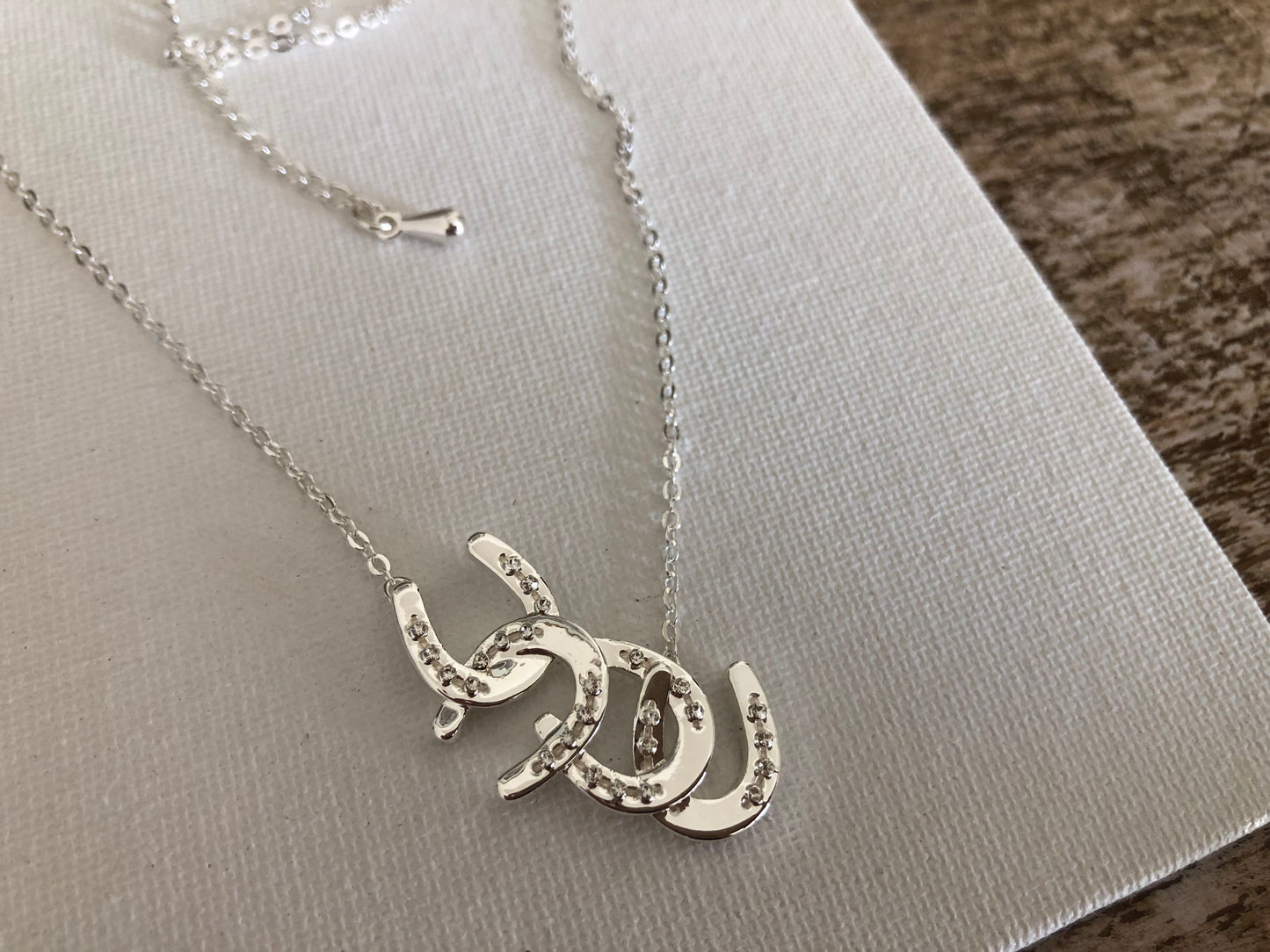 Horseshoes CARDED Necklace Petite