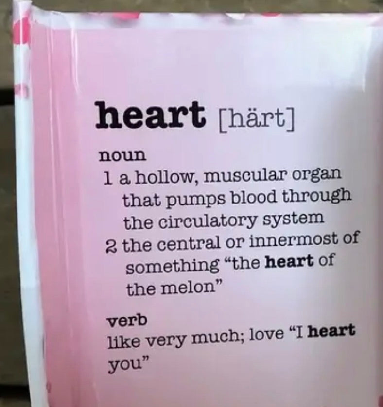 Double heart Valentine Necklace