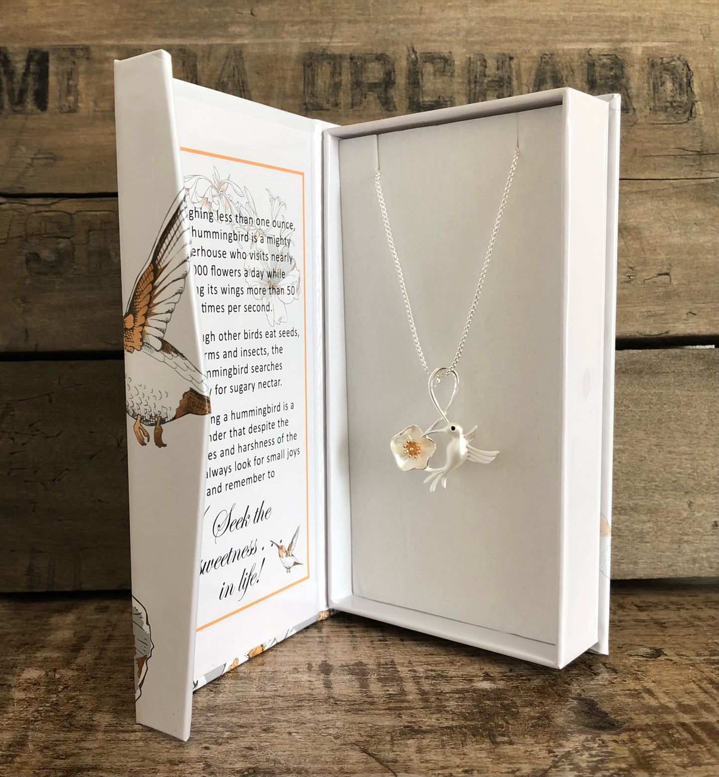 Hummingbird Necklace - Carol Young Silver