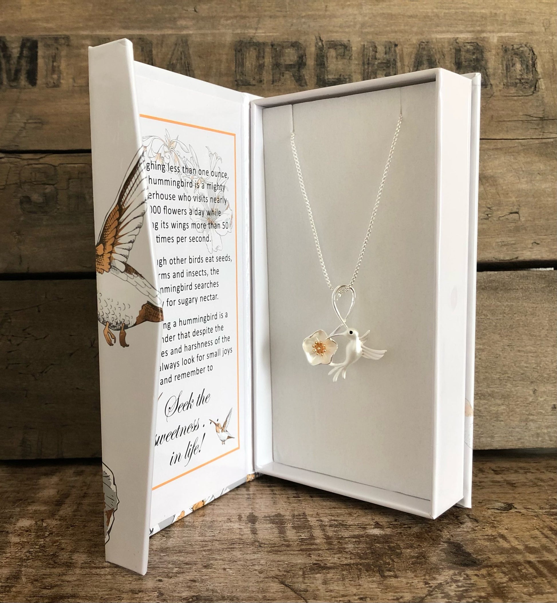 Hummingbird Necklace - Carol Young Silver