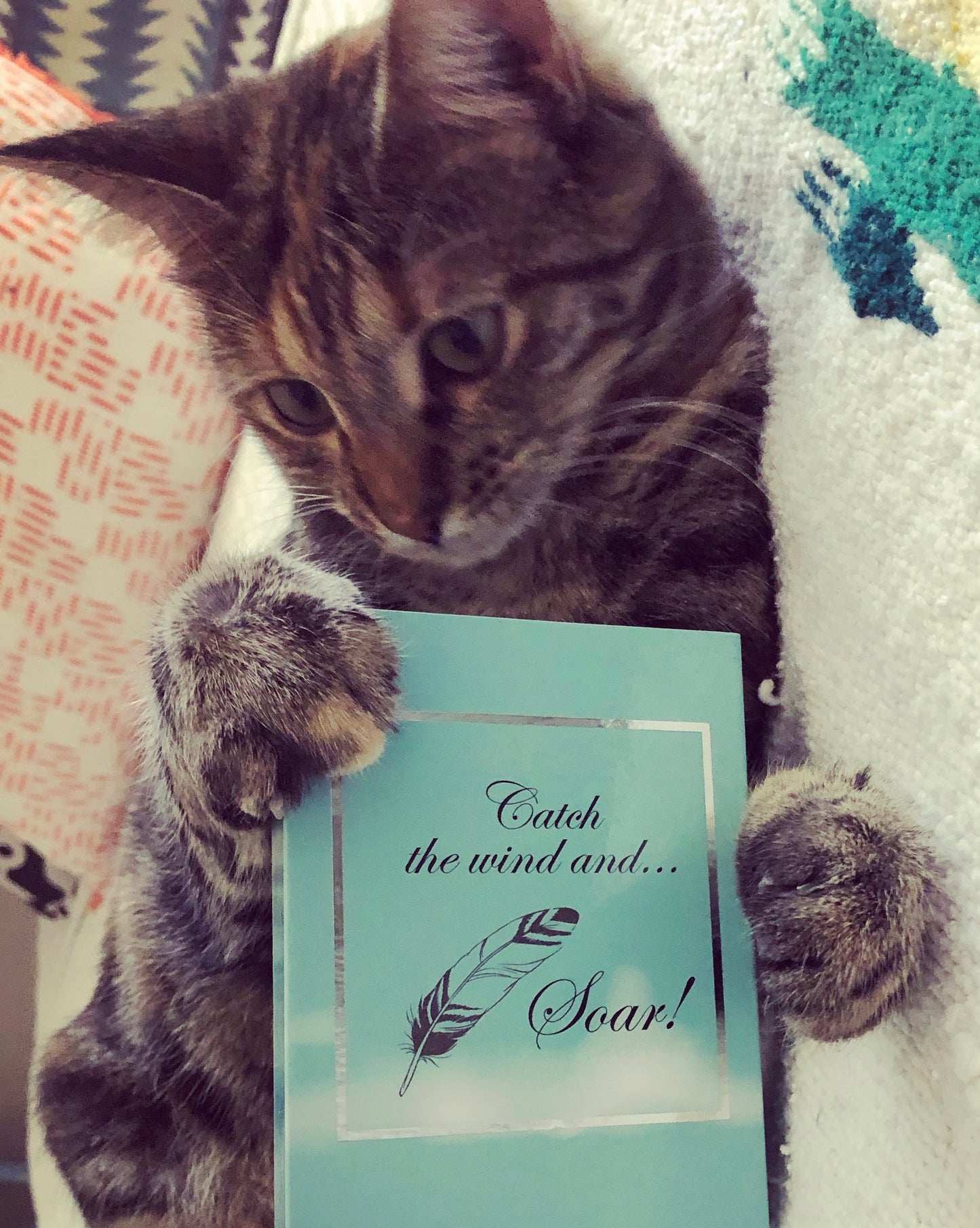 Eagle Feather BOXED Necklace