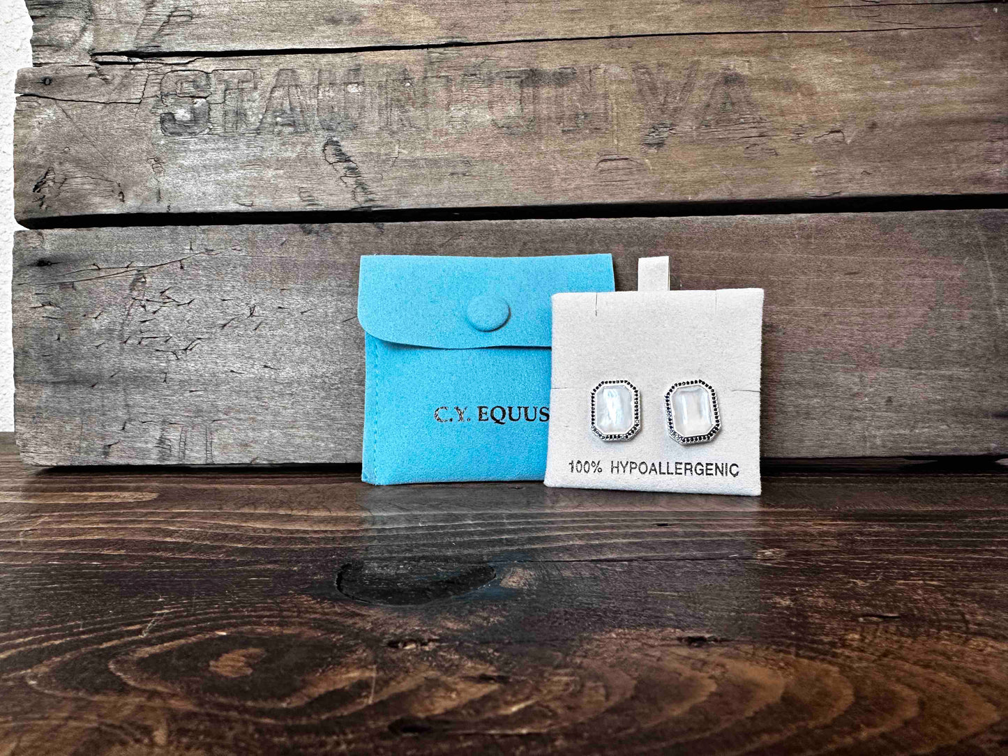 Bold/Modern Mother of Pearl Earrings POST/Jewelry